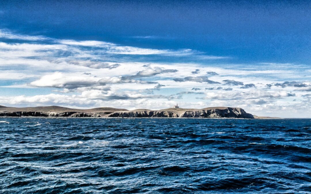 Isla Magdalena, Punta Arenas – Chile
